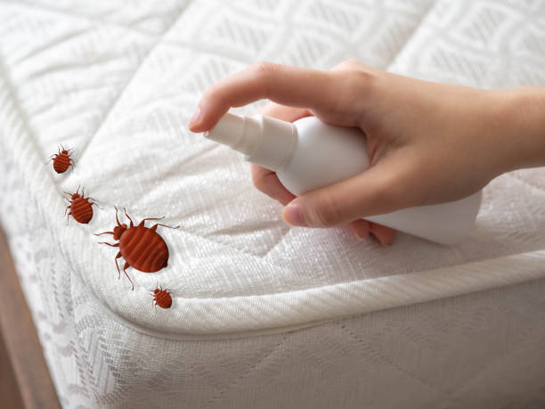 Best Pest Prevention Services  in Brockport, NY